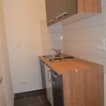 Zwei Raben