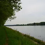 Zwei Raben