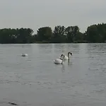 Zwei Raben 3* Moguncja
