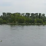 Zwei Raben Moguncja