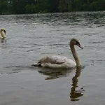 Pensjonat Zwei Raben 3*