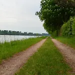 Zwei Raben Moguncja