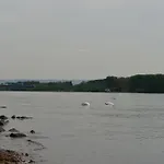 Zwei Raben