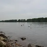 Zwei Raben Moguncja