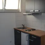 Zwei Raben