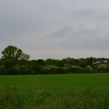 Zwei Raben Гостевой дом 3*