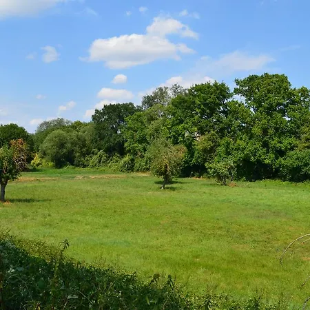 Гостевой дом Zwei Raben Майнц