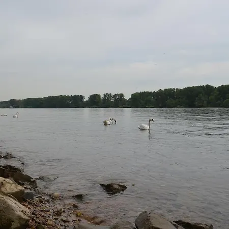 Zwei Raben Майнц