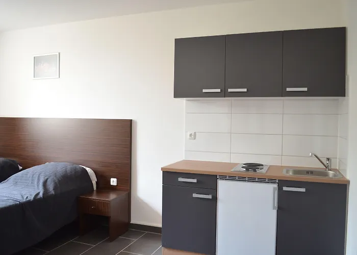 Zwei Raben בית הארחה מיינץ