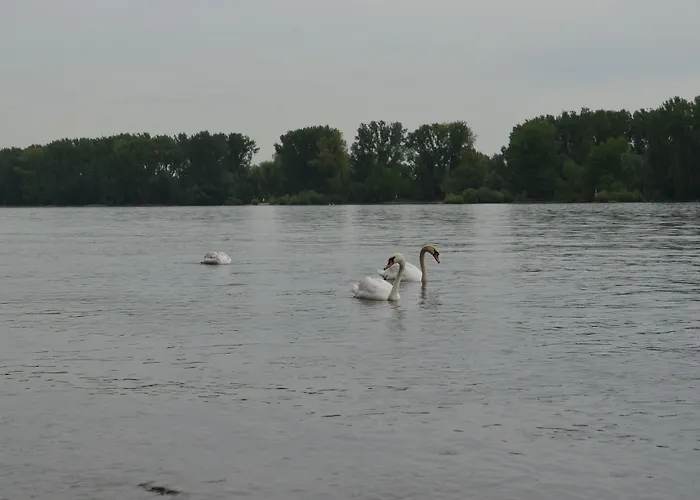 Zwei Raben 3* Μάιντς