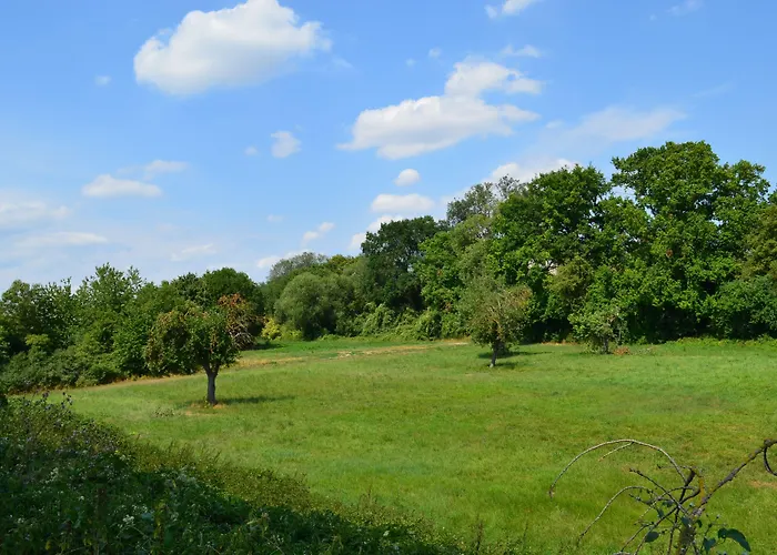 Zwei Raben ゲストハウス マインツ