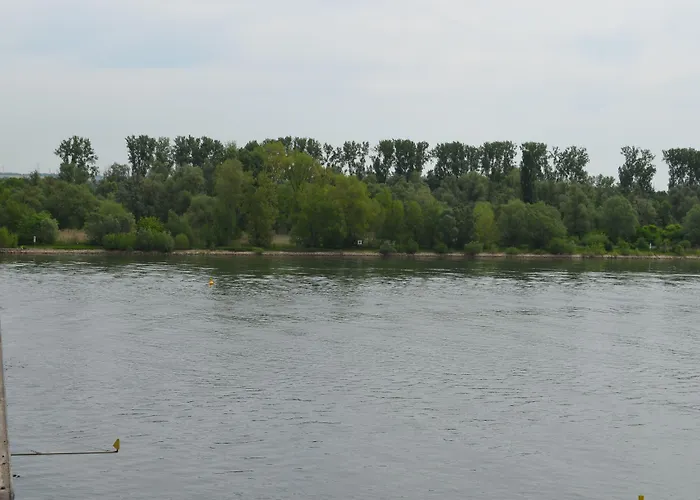 Zwei Raben מיינץ