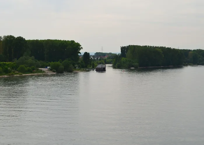 בית הארחה Zwei Raben מיינץ