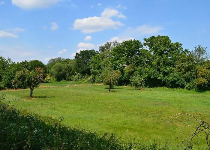 Πανσιόν Zwei Raben Μάιντς