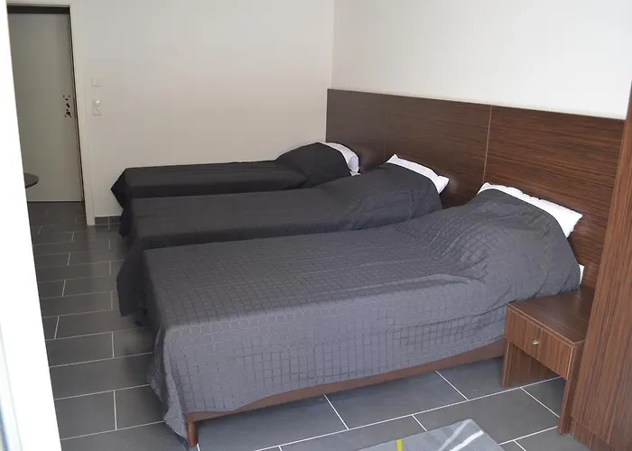 בית הארחה Zwei Raben 3*