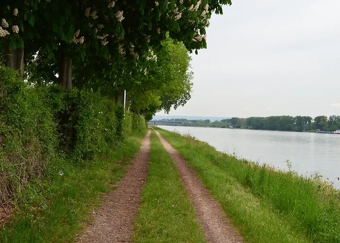 Zwei Raben מיינץ