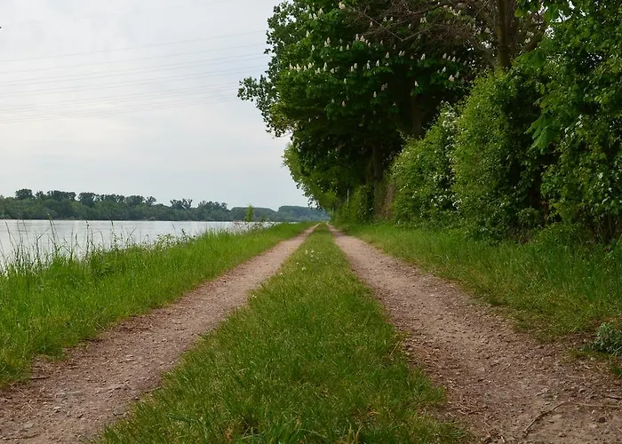 Πανσιόν Zwei Raben Μάιντς