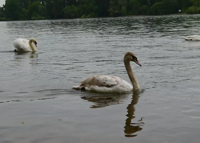 ゲストハウス Zwei Raben 3*