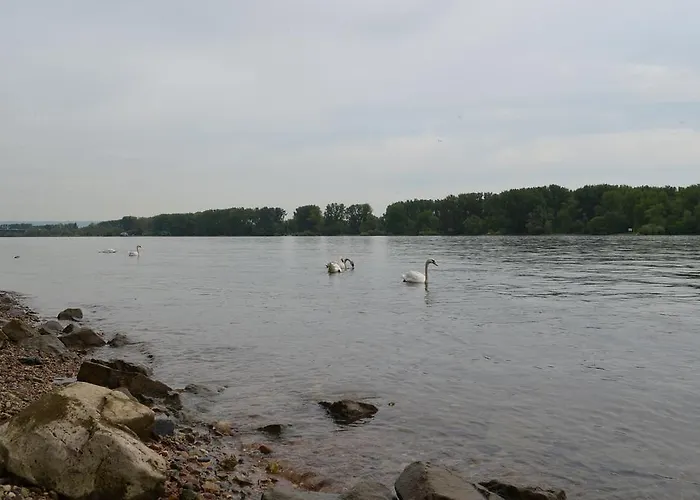 Zwei Raben מיינץ