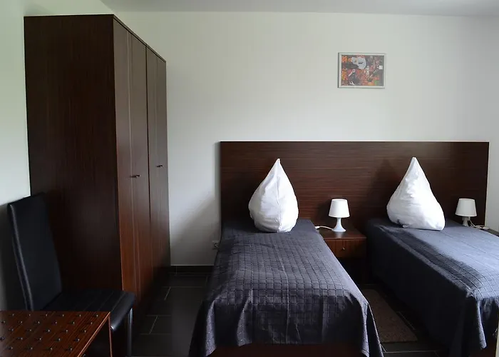 בית הארחה Zwei Raben מיינץ