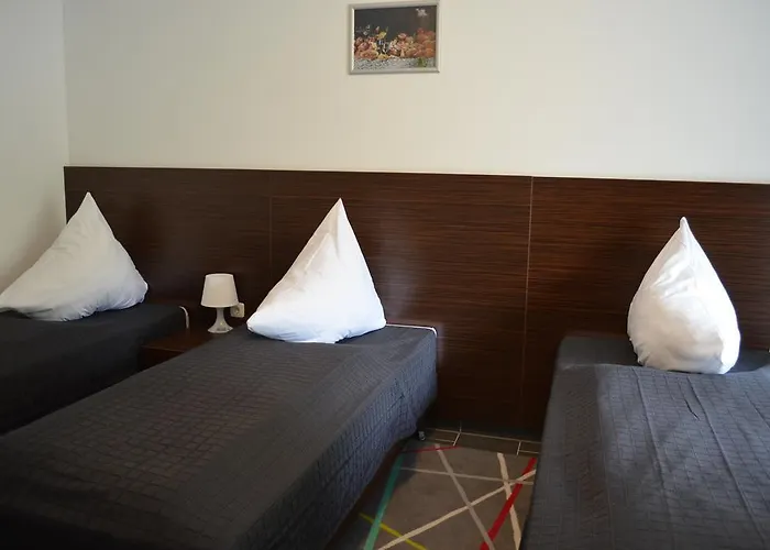 בית הארחה Zwei Raben